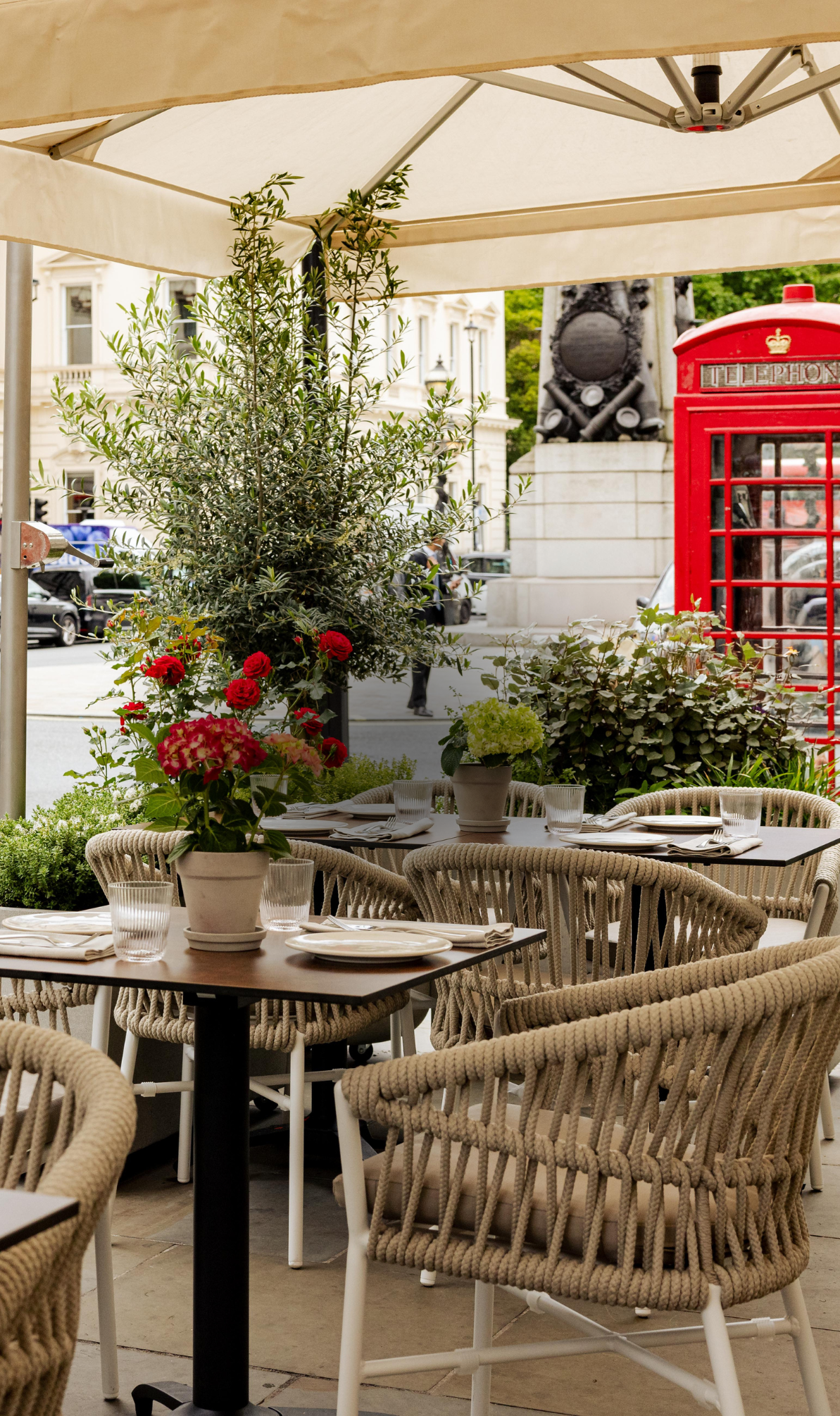 Claro St. James's Outdoor Terrace